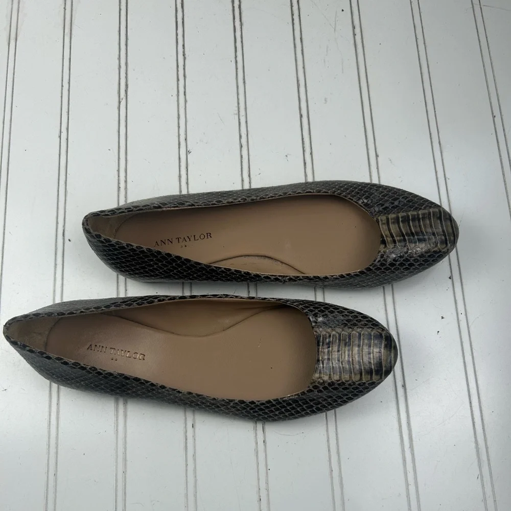 Ann Taylor ann taylor